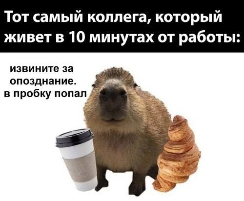 Собрали все посты недели в один:
➡️ корпоративная культура как критерий выбора работы
➡️ “сильные” глаголы для резюме
➡️ European Labour Market Barometer - что это?
➡️ топ-20 стоп-слов в резюме
➡️ нов... | Сетка — социальная сеть от hh.ru