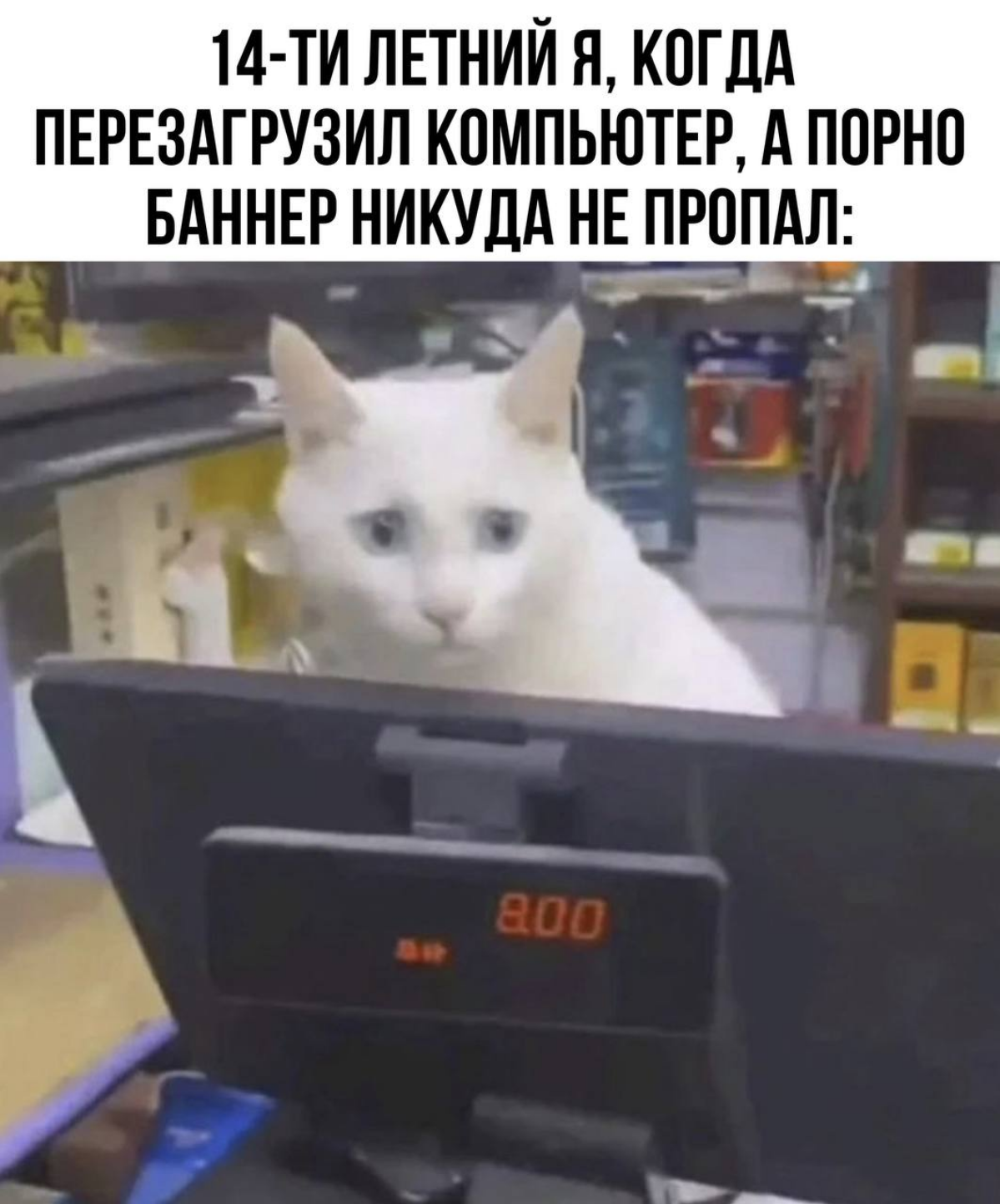 Поздравляю всех с наступившей пятницей! 🥳 | Сетка — социальная сеть от hh.ru