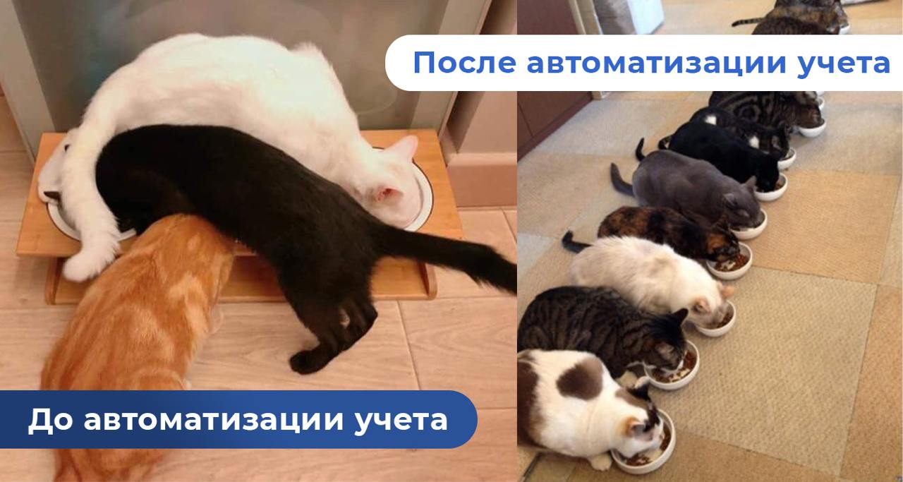 Многие поймут😄 | Сетка — социальная сеть от hh.ru