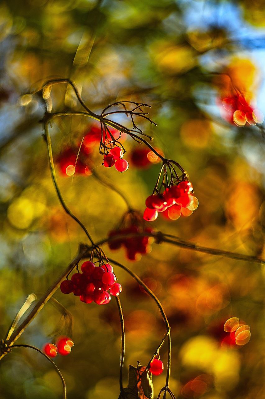 Ловим остатки золотой осени🍂🍁🍂 | Сетка — социальная сеть от hh.ru