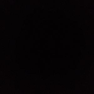 Виктор Попов