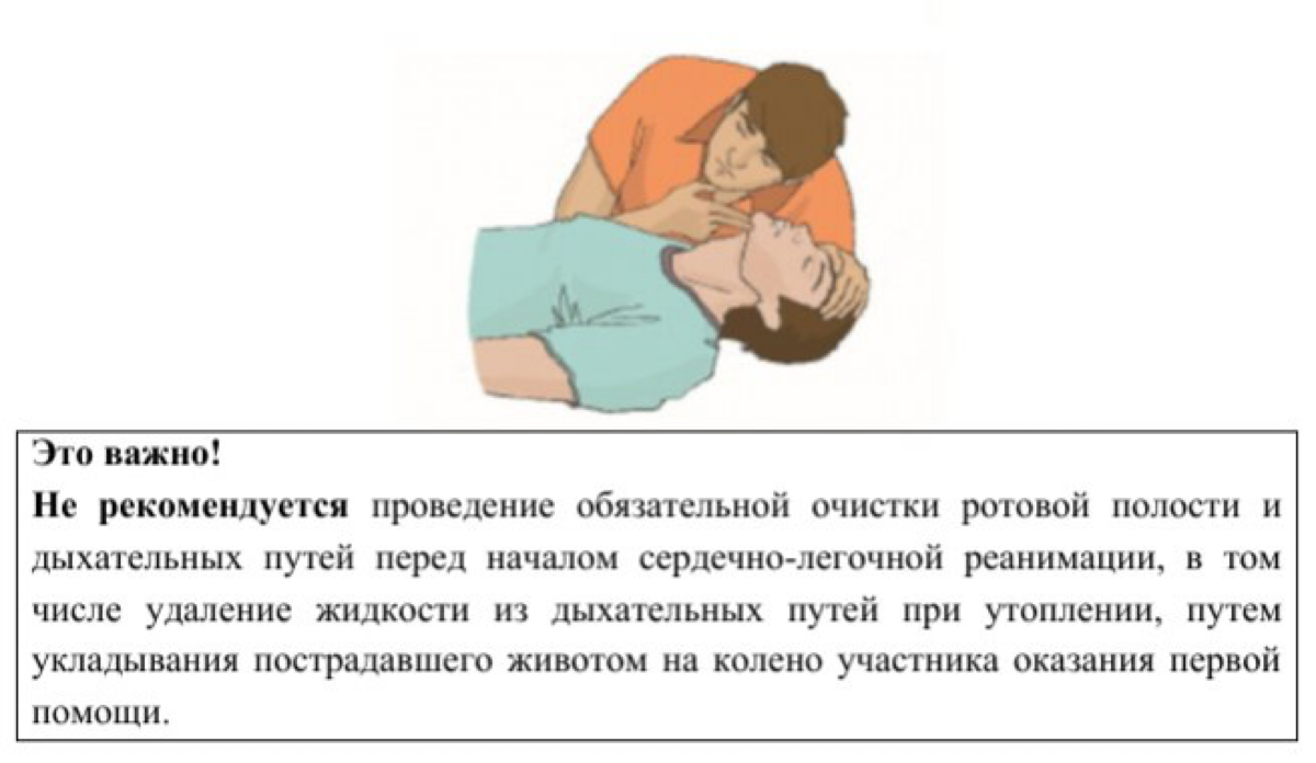 Живой ли? | Сетка — социальная сеть от hh.ru