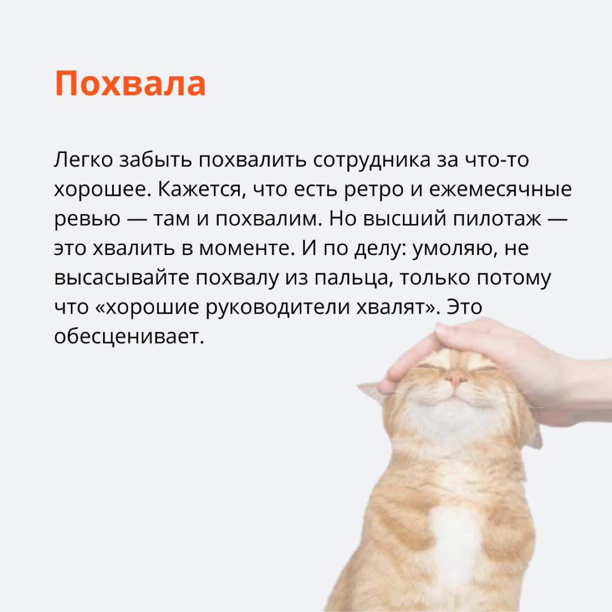 Работа с командой — это не только про распределение задач и контроль дедлайнов, но и про постоянное взаимодействие с людьми. А это всегда непросто | Сетка — социальная сеть от hh.ru
