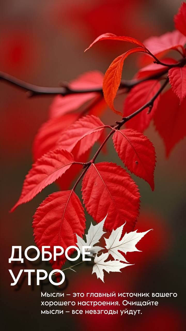 Доброе утро и хороших вам выходных ☀️ | Сетка — социальная сеть от hh.ru