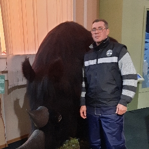 Геннадий Караульный