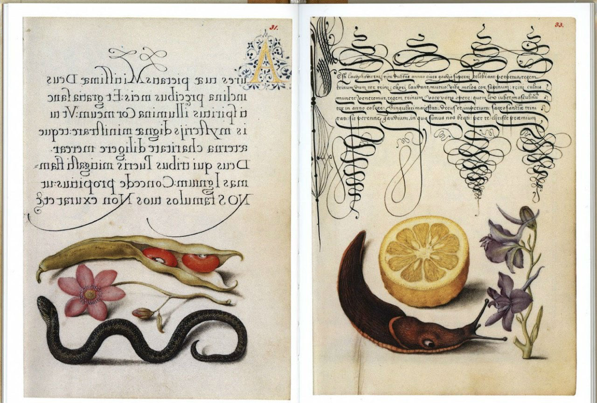 Годнота из архива: «Образцовая книга каллиграфии» | Сетка — социальная сеть от hh.ru