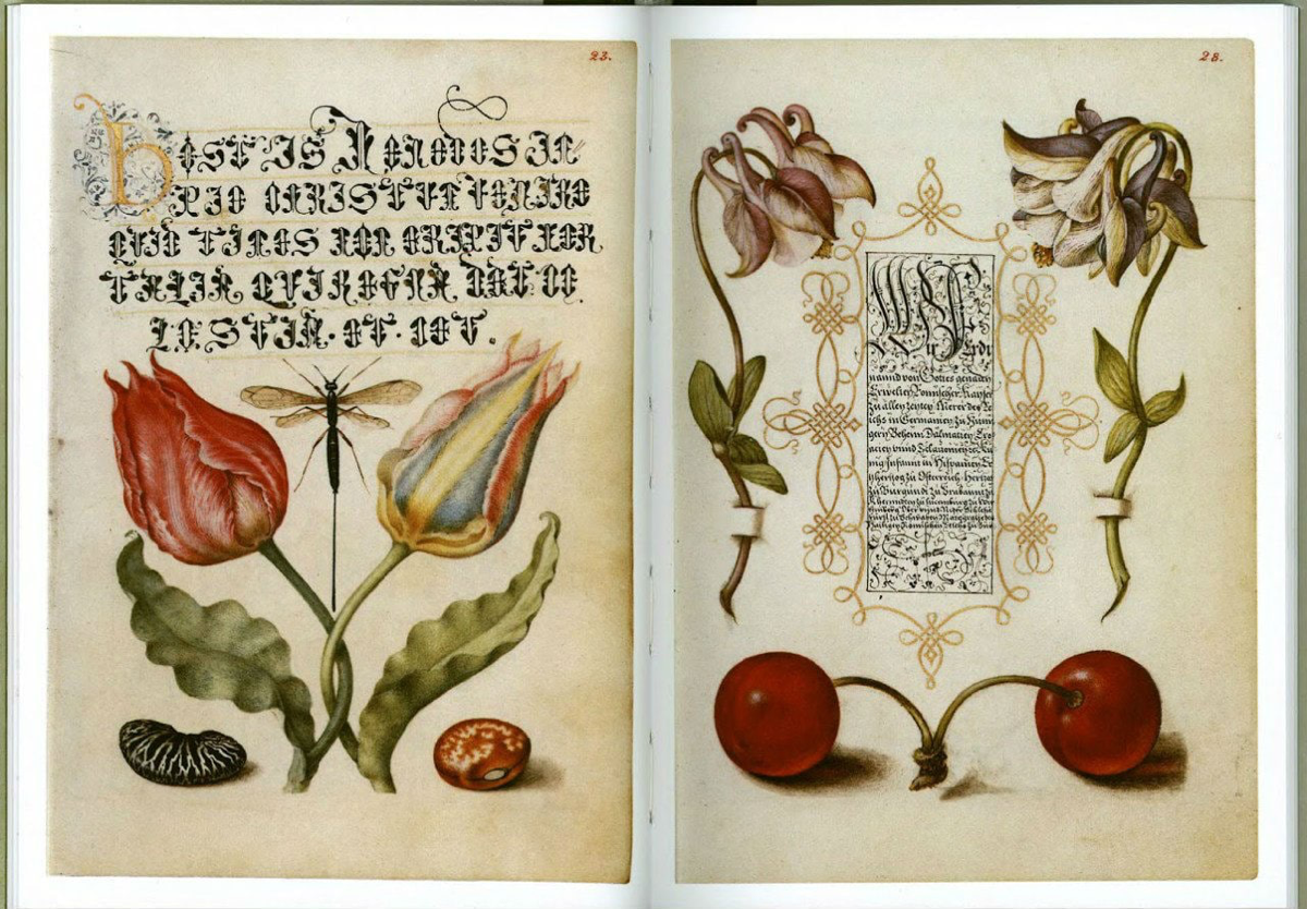 Годнота из архива: «Образцовая книга каллиграфии» | Сетка — социальная сеть от hh.ru