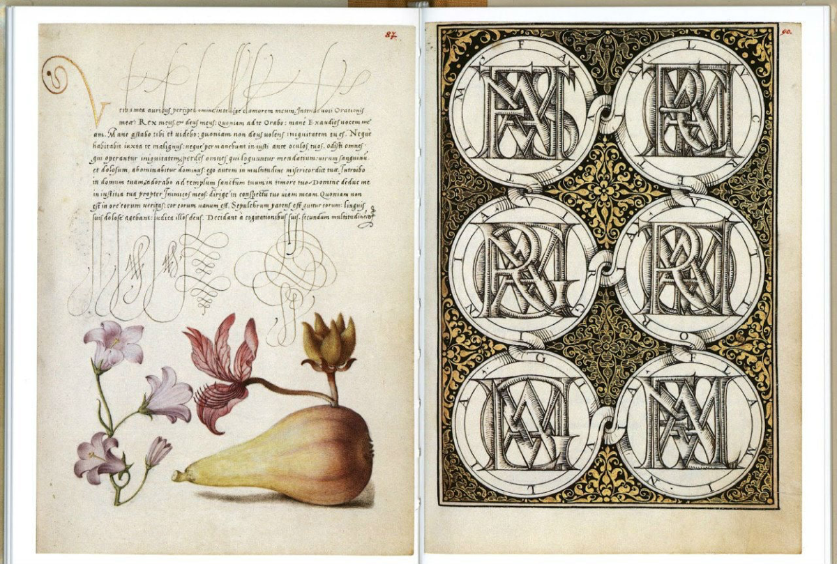 Годнота из архива: «Образцовая книга каллиграфии» | Сетка — социальная сеть от hh.ru