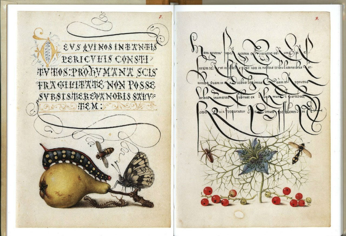 Годнота из архива: «Образцовая книга каллиграфии» | Сетка — социальная сеть от hh.ru