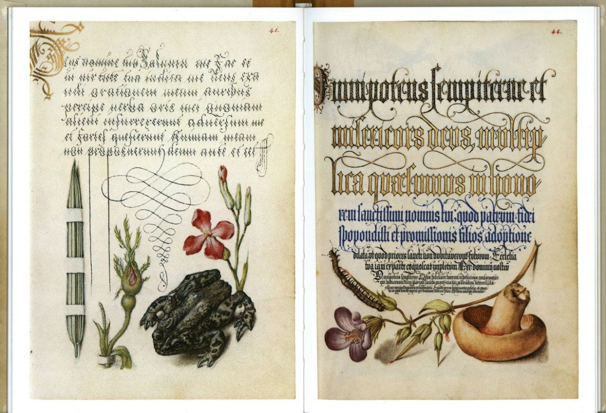 Годнота из архива: «Образцовая книга каллиграфии» | Сетка — социальная сеть от hh.ru