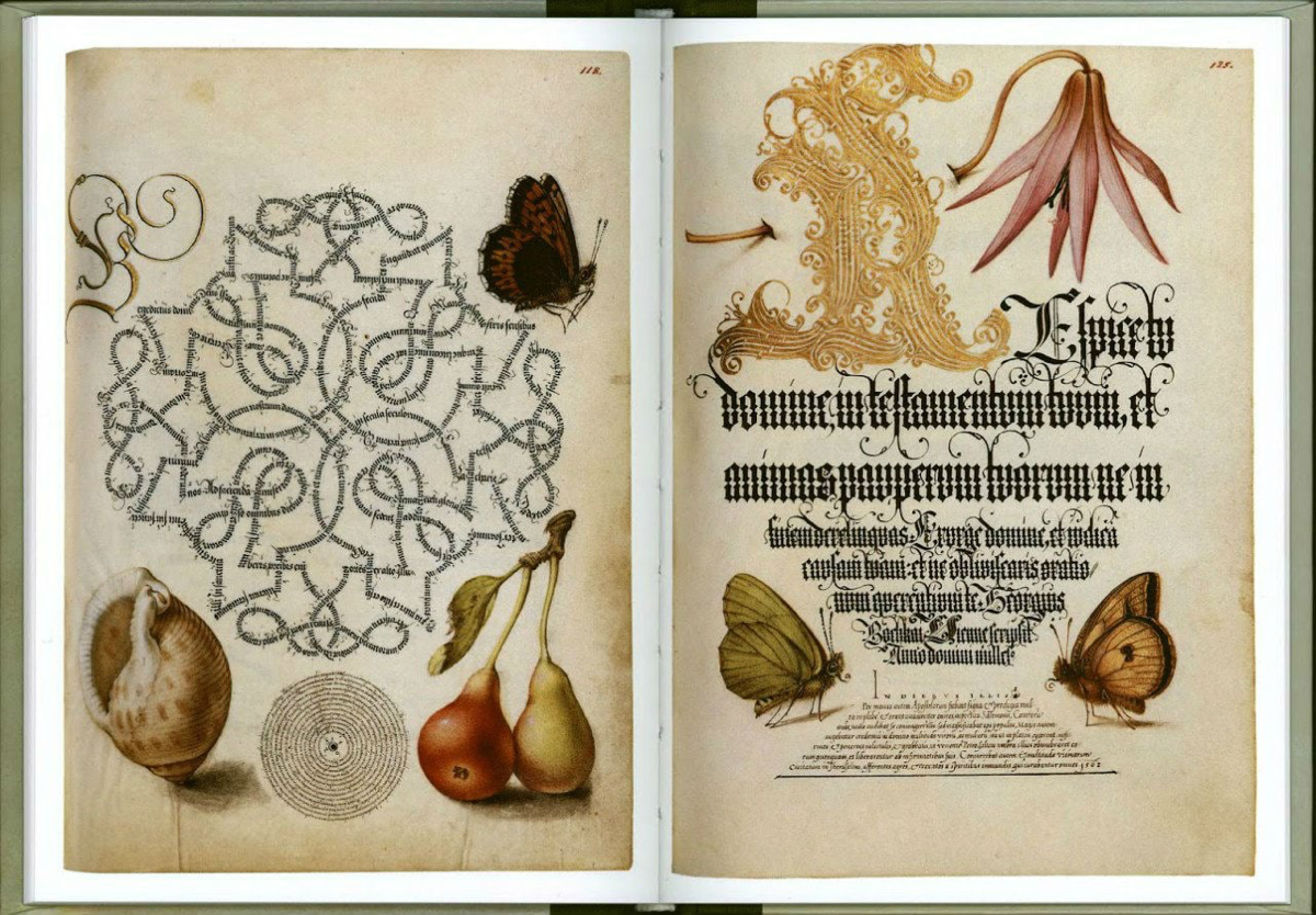 Годнота из архива: «Образцовая книга каллиграфии» | Сетка — социальная сеть от hh.ru