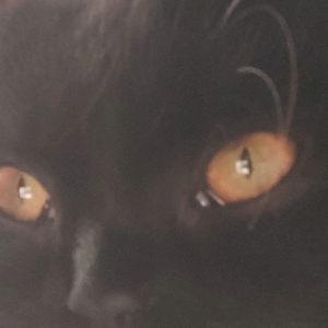 Павел Осадчий