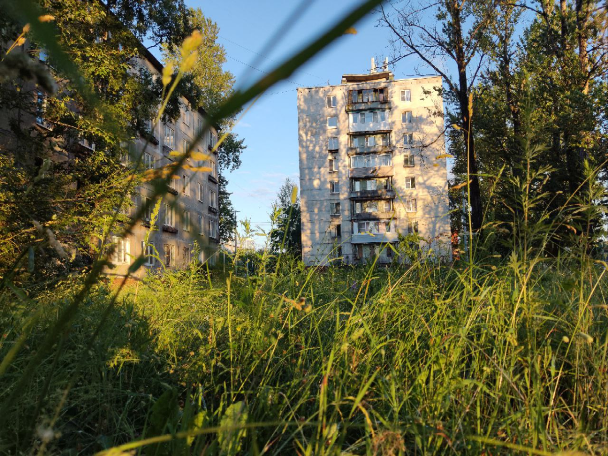 #Outdoors #Green #Building 

Сначала я уронил телефон в траву, а потом понял, что некоторые вещи не случайны и нас что-то ведёт… Так и получился этот кадр. 

POCO X3 Pro 
4.71mm -- f/1 | Сетка — социальная сеть от hh.ru