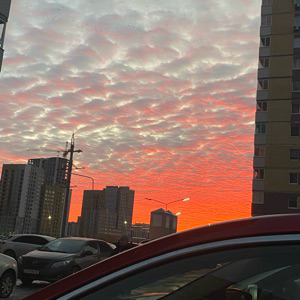 Полина Евгеньевна