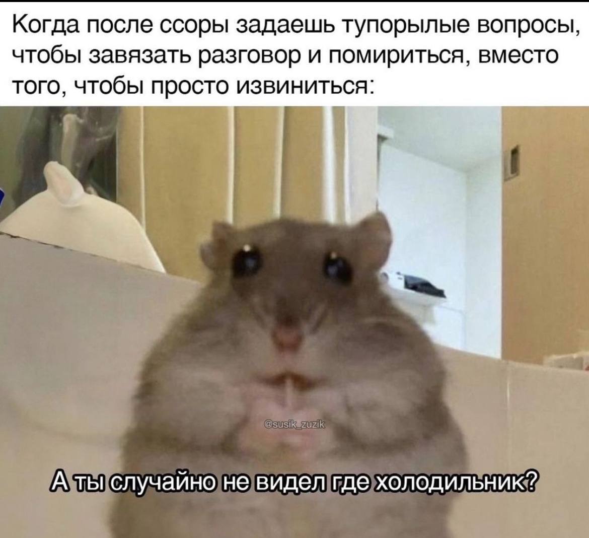 Собирала эти картинки, чтобы ваша суббота была чуточку приятнее | Сетка — социальная сеть от hh.ru