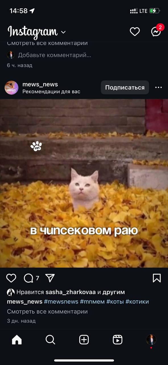 Собирала эти картинки, чтобы ваша суббота была чуточку приятнее | Сетка — социальная сеть от hh.ru