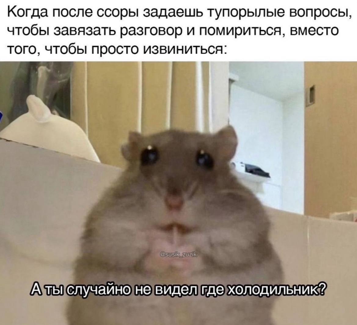 Собирала эти картинки, чтобы ваша суббота была чуточку приятнее | Сетка — социальная сеть от hh.ru