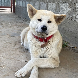 Юлия Невредимова | Сетка — социальная сеть от hh.ru