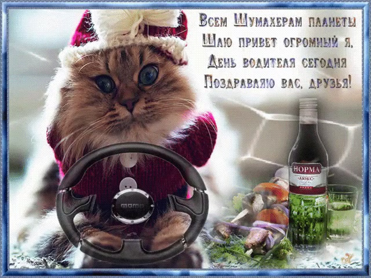 Профессионалов и любителей с Днём Водителей! | Сетка — социальная сеть от hh.ru