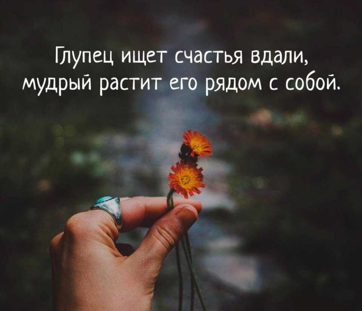 Счастье есть! | Сетка — социальная сеть от hh.ru