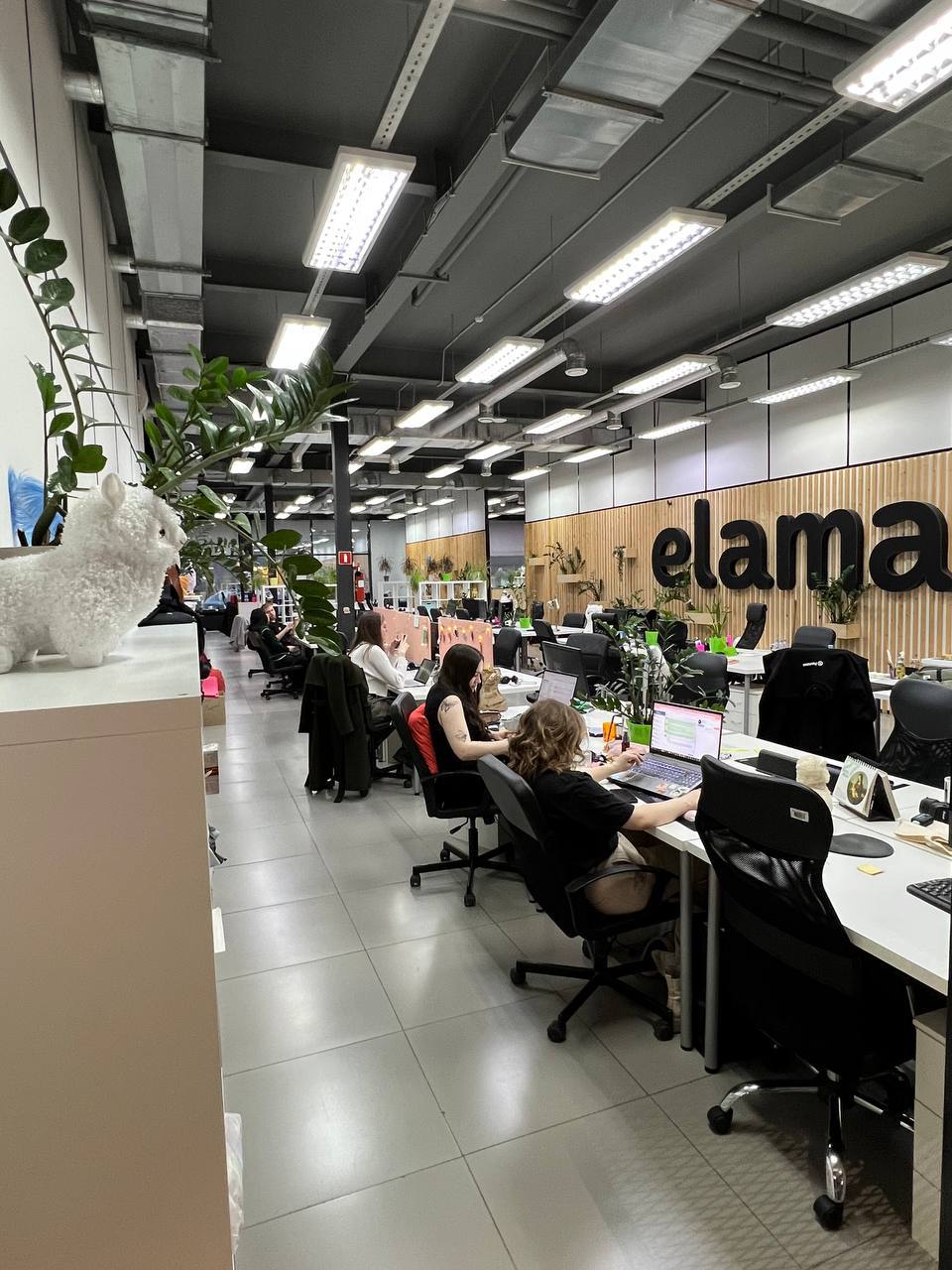 Как мы ходили на экскурсию в офис eLama 🦙
В прошлую пятницу мы, с нашим бизнес-клубом руководителей digital-агентств, ходили в офис компании eLama в СПб | Сетка — социальная сеть от hh.ru