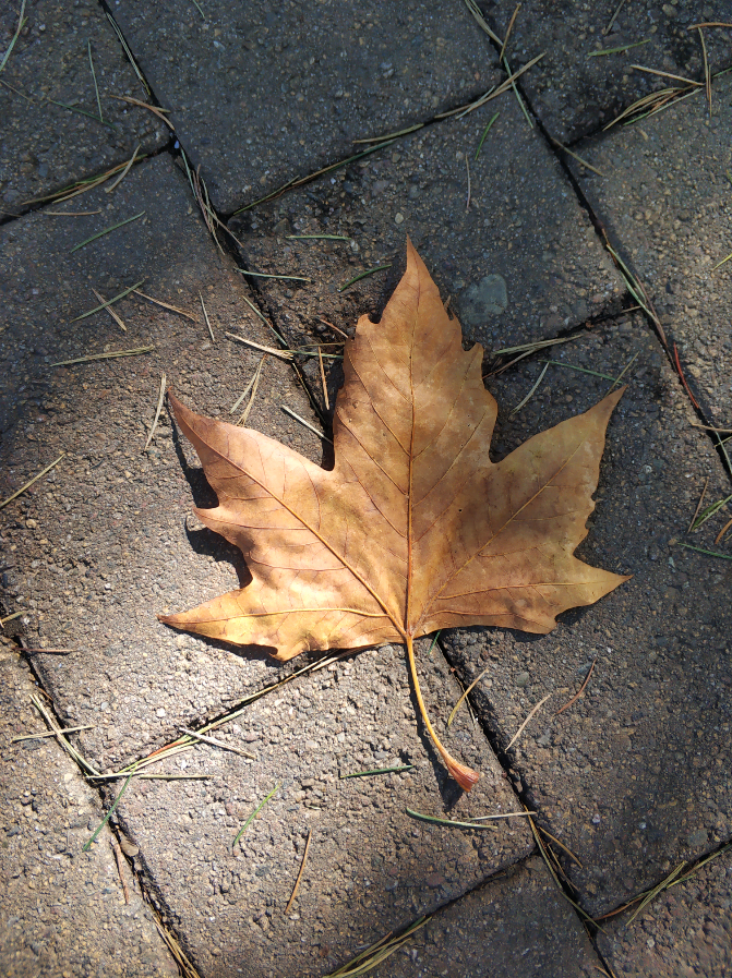 Маленькие радости для тела - вклад в большое счастье Души | Сетка — социальная сеть от hh.ru