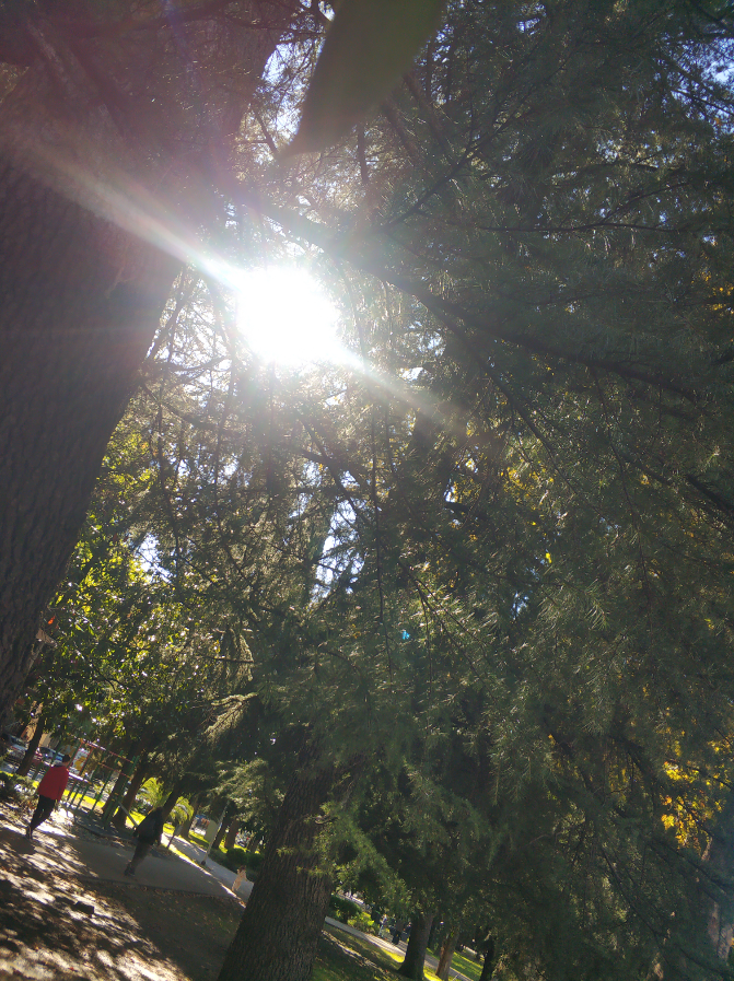 Маленькие радости для тела - вклад в большое счастье Души | Сетка — социальная сеть от hh.ru