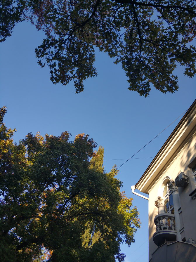 Маленькие радости для тела - вклад в большое счастье Души | Сетка — социальная сеть от hh.ru