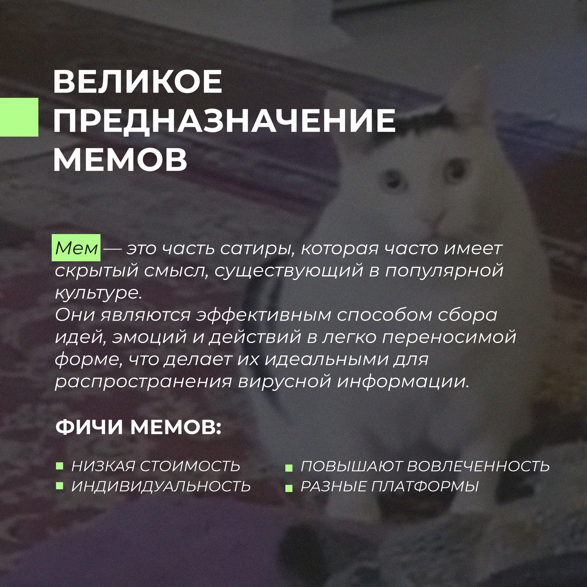 Почему МЕМЫ работают?
Листай карусель и пиши, нравится контент с оформлением мемов? | Сетка — социальная сеть от hh.ru