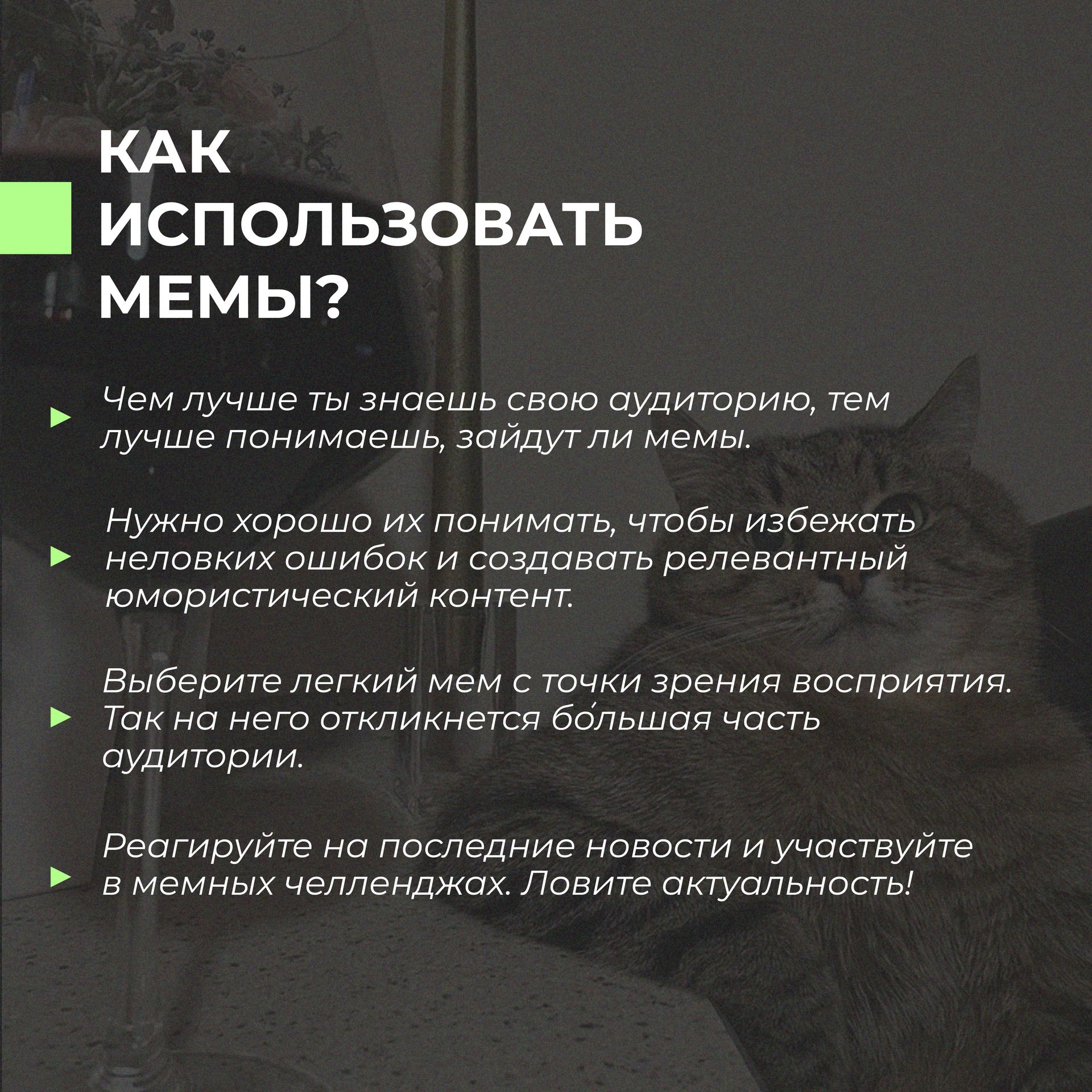 Почему МЕМЫ работают?
Листай карусель и пиши, нравится контент с оформлением мемов? | Сетка — социальная сеть от hh.ru