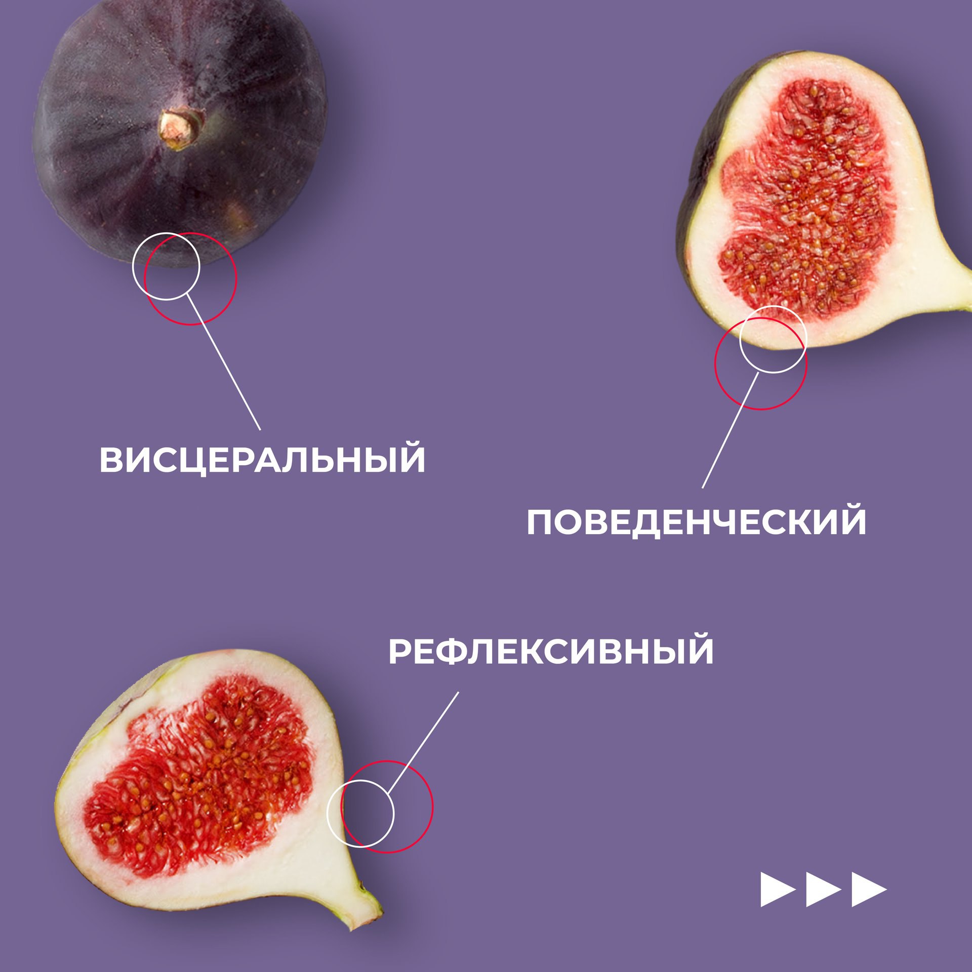 Эмоциональный дизайн - это то, что определяет успех вашего продукта
Листай карусель и делись, что об этом думаешь?😉 | Сетка — социальная сеть от hh.ru
