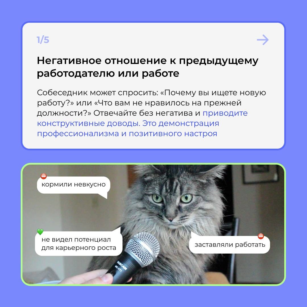 🤫 О чём молчать на интервью?
Всё , что вы говорите во время собеседования, даёт интервьюеру понять вашу мотивацию для подачи заявления и то, как ваши навыки и опыт сделают вас наиболее квалифицированн... | Сетка — социальная сеть от hh.ru