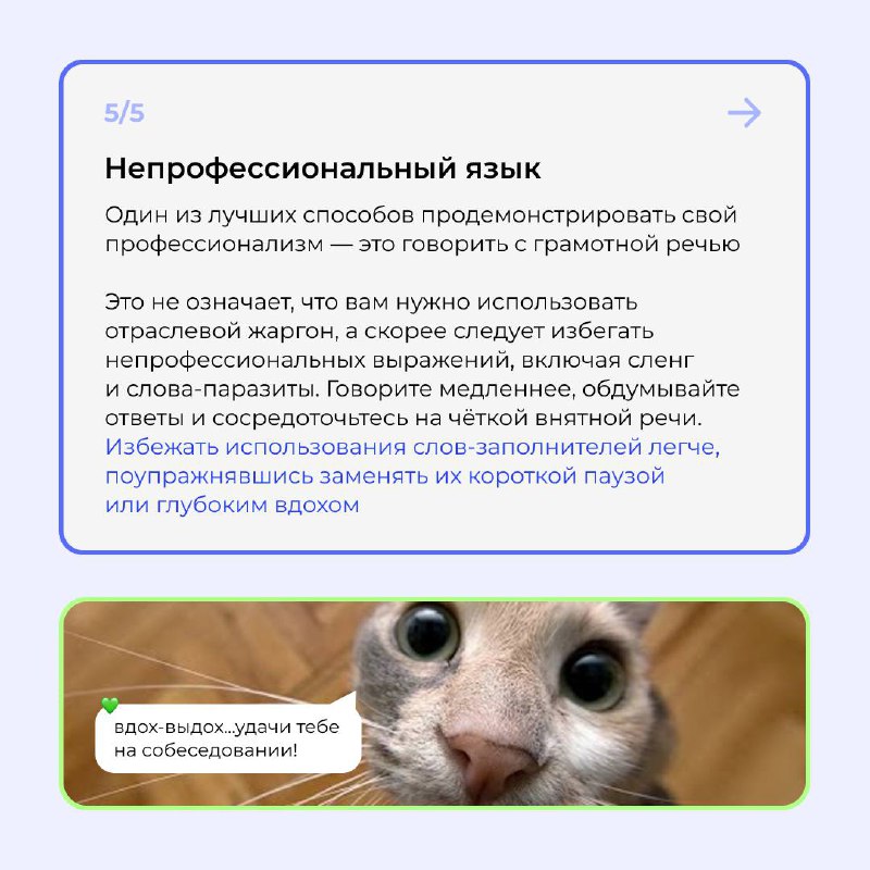 🤫 О чём молчать на интервью?
Всё , что вы говорите во время собеседования, даёт интервьюеру понять вашу мотивацию для подачи заявления и то, как ваши навыки и опыт сделают вас наиболее квалифицированн... | Сетка — социальная сеть от hh.ru