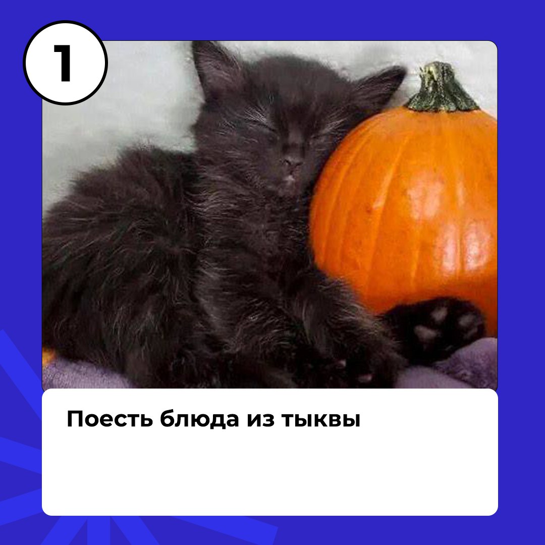 Ноябрь не за горами, ты успел выполнить все свои осенние планы?
Мы уверены, что нет, ведь есть ещё четыре важных дела от Работут на последний месяц осени😉 | Сетка — социальная сеть от hh.ru