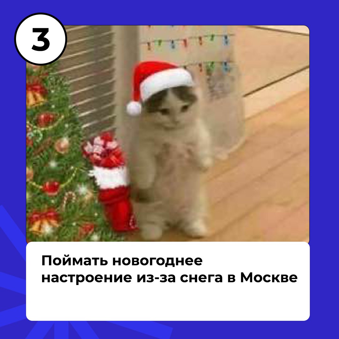 Ноябрь не за горами, ты успел выполнить все свои осенние планы?
Мы уверены, что нет, ведь есть ещё четыре важных дела от Работут на последний месяц осени😉 | Сетка — социальная сеть от hh.ru