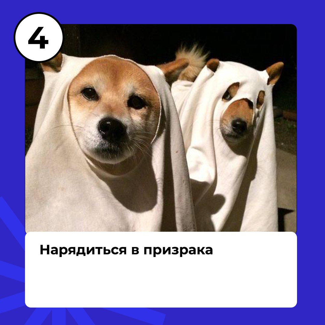 Ноябрь не за горами, ты успел выполнить все свои осенние планы?
Мы уверены, что нет, ведь есть ещё четыре важных дела от Работут на последний месяц осени😉 | Сетка — социальная сеть от hh.ru