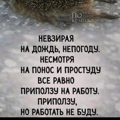 Ришат Валишин