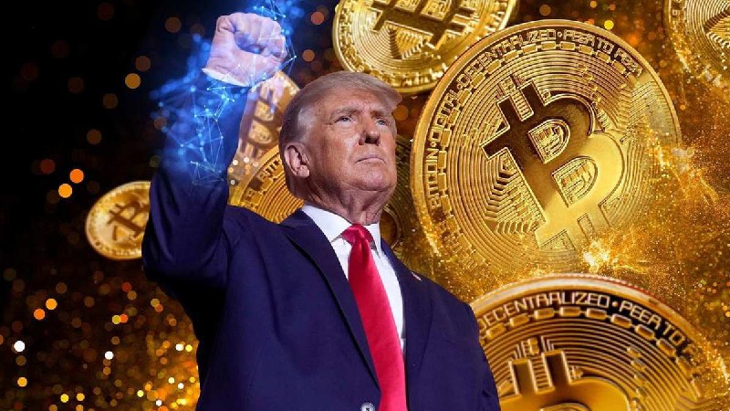 Питер Шифф предупредил владельцев биткоинов о Трамповском дампе | Сетка — социальная сеть от hh.ru