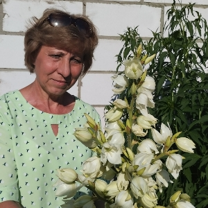 Елена Павлова