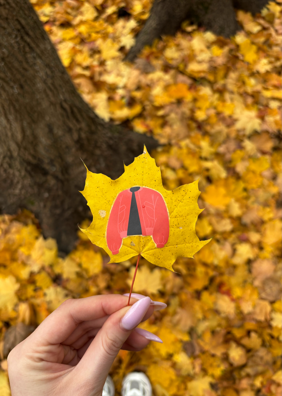 осень [🍁’🍂:🧡]
Моя старая картиночка превратилась в осенние стикеры!
В магазинах уже вижу украшения для нового года, а я не успела толком осенью полюбоваться :с
Считаю, эти стикеры отлично вписались в ... | Сетка — социальная сеть от hh.ru