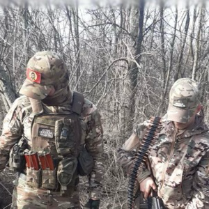 Демкин Николай | Сетка — социальная сеть от hh.ru