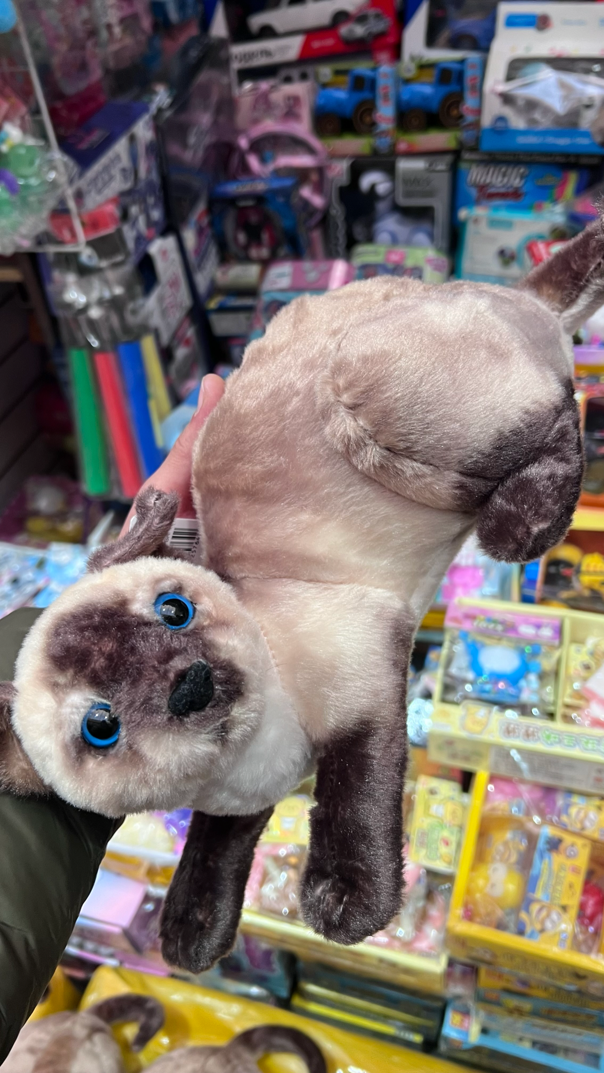 Мягкая игрушка сиамская кошка 30 см
Цена 650₽ | Сетка — социальная сеть от hh.ru