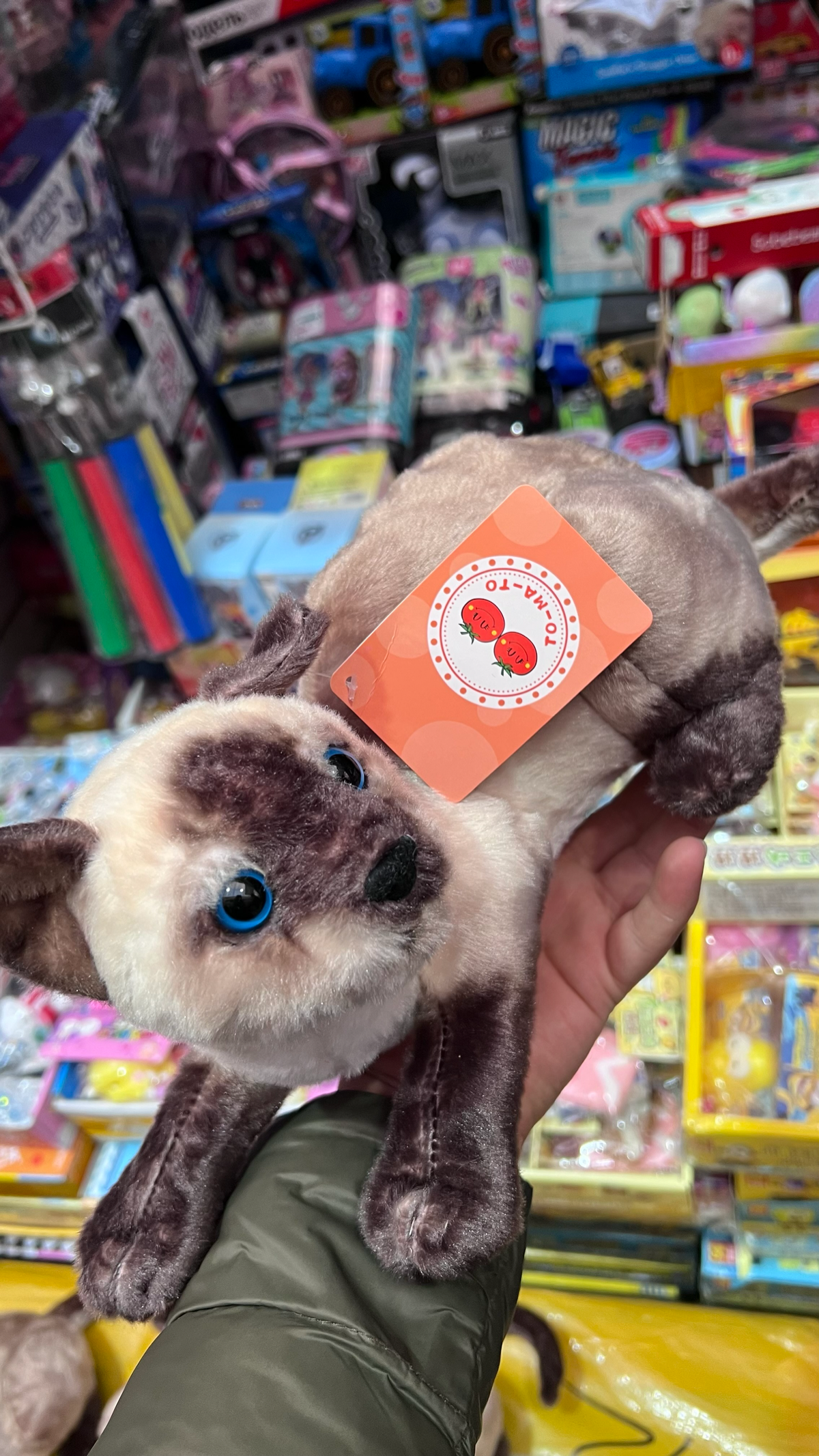 Мягкая игрушка сиамская кошка 30 см
Цена 650₽ | Сетка — социальная сеть от hh.ru