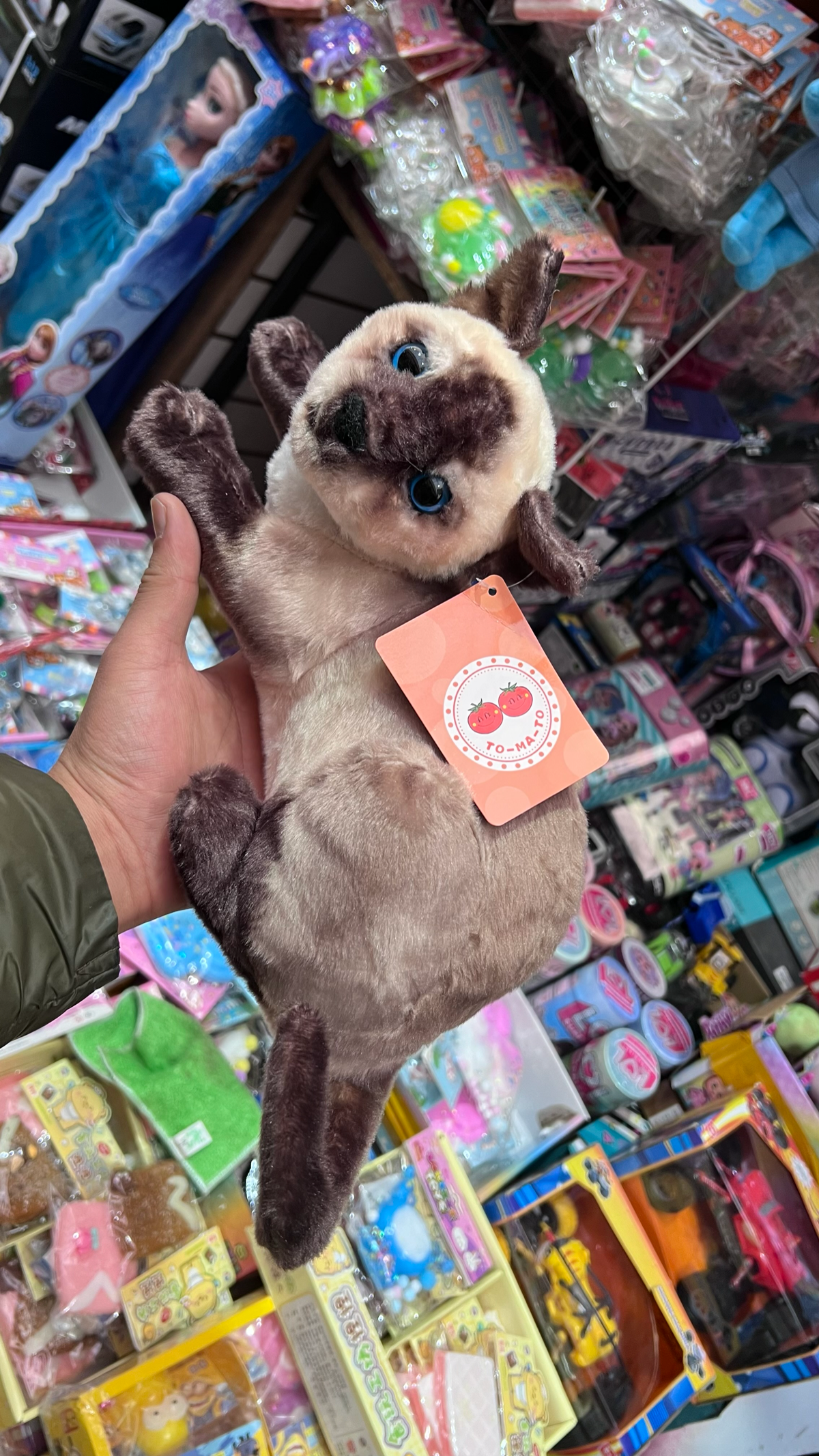Мягкая игрушка сиамская кошка 30 см
Цена 650₽ | Сетка — социальная сеть от hh.ru
