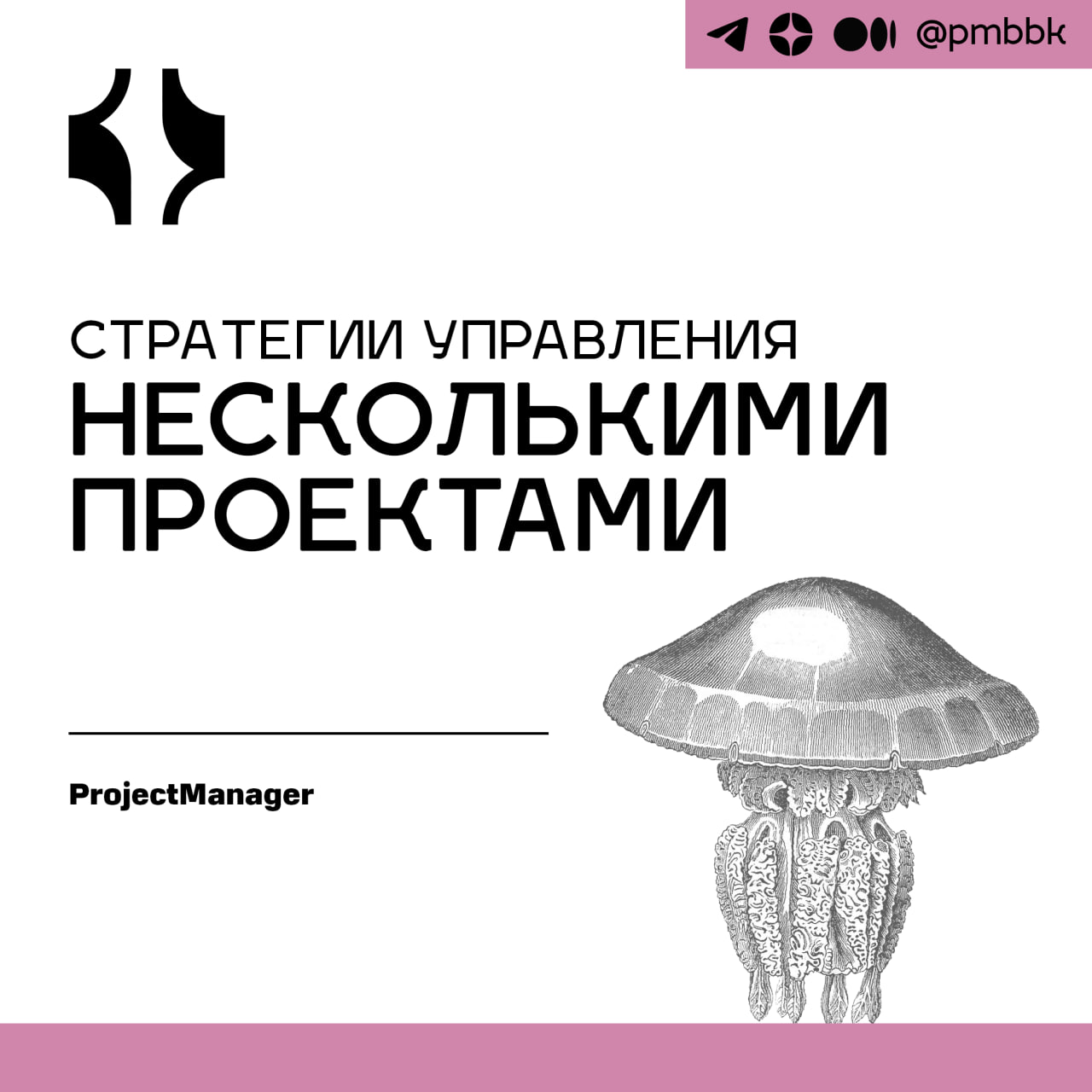 🤹 Стратегии управления несколькими проектами
Управление несколькими проектами одновременно может немного напоминать жонглирование | Сетка — социальная сеть от hh.ru