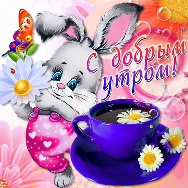 Доброе утро, коллеги | Сетка — социальная сеть от hh.ru