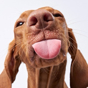 Ася Сиротина | Сетка — социальная сеть от hh.ru