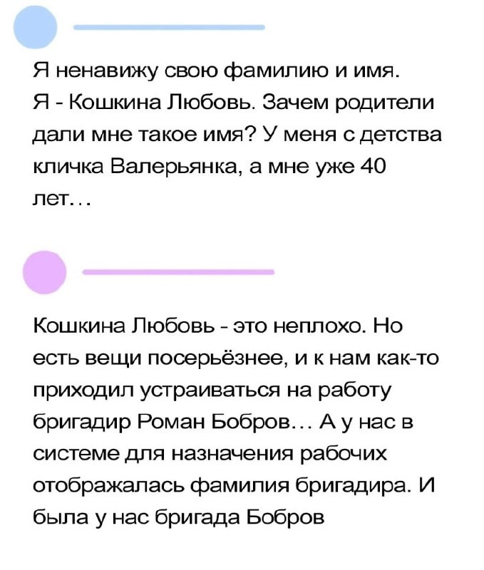 ➡️ отправь в телеге мем коллеге | Сетка — социальная сеть от hh.ru