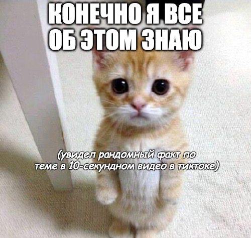 Коллеги, срочный сбор: что вы используете для поиска информации в интернете? Гугл поиск? Чат GPT? Понятно, отстаете | Сетка — социальная сеть от hh.ru