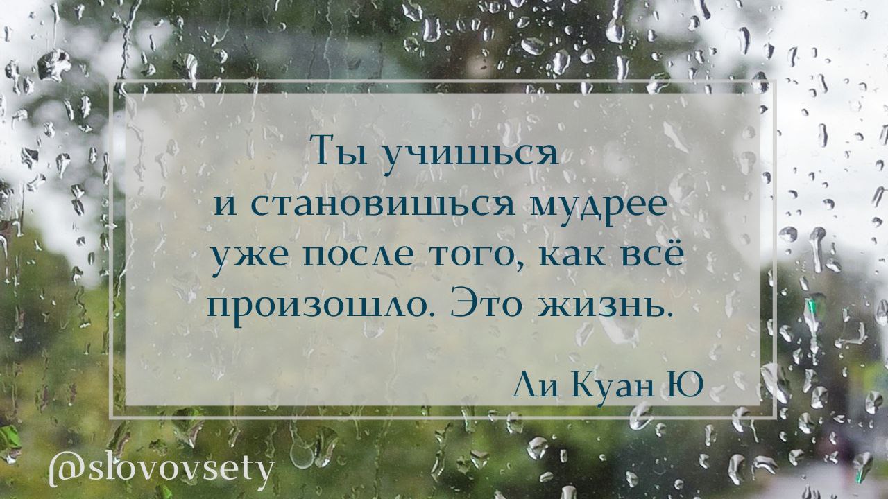 🟠 Ты учишься и становишься мудрее уже после того, как всё произошло. Это жизнь.
✅ Ли Куан Ю - один из архитекторов "Сингапурского чуда"
#книги #цитаты #мудрость
@slovovsety | Сетка — социальная сеть от hh.ru